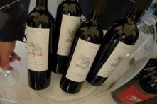PREMIUM WINE DINGAČ - AGRICULTURAL WINERY, POTOMJE