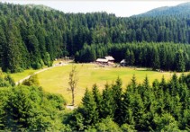 FOREST PARK GOLUBINJAK