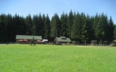 FOREST PARK GOLUBINJAK