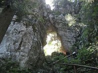 FOREST PARK GOLUBINJAK