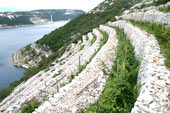 BAKAR DRY STONE WALLS