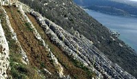 BAKAR DRY STONE WALLS