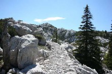 PREMUŽIĆEVA PATH